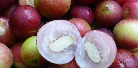 Camu Camu